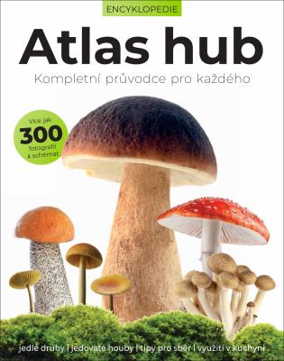 Atlas hub