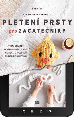 Pletení prsty pro začátečníky e-kniha
