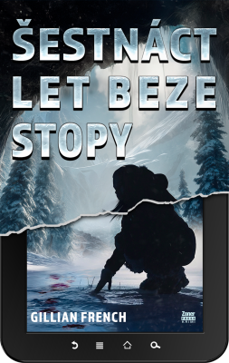 Šestnáct let beze stopy e-kniha